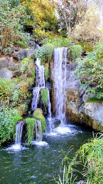 Los Angeles County Arboretum